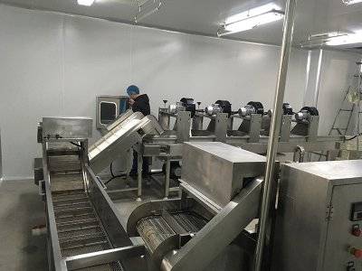 山东得能大健康产业保健食品净化车间