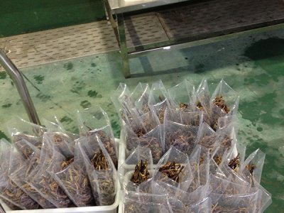 食品净化车间在设计时需要考虑的问题