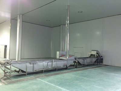 食品净化车间如何净化空气?