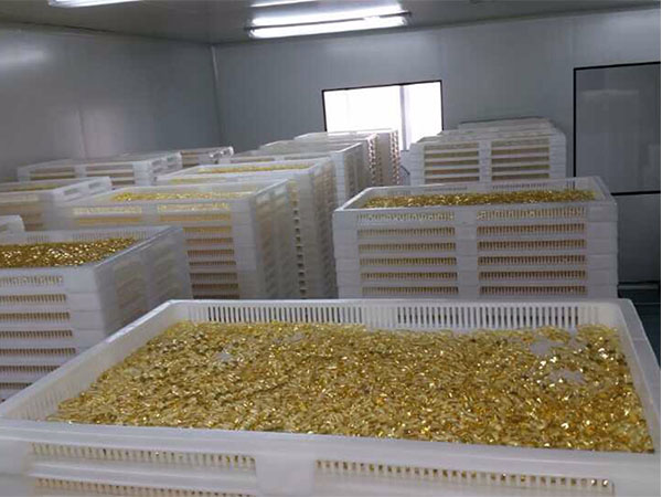 食品净化车间清洁小窍门了解一下