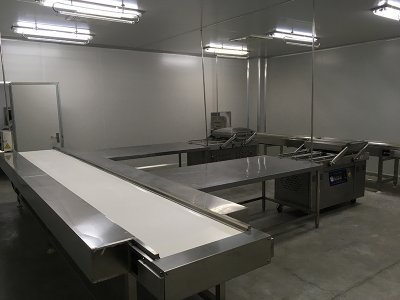 食品保健品净化车间工程