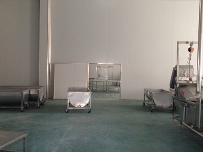 食品保健品净化车间工程